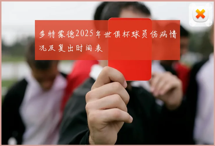 多特蒙德2025年世俱杯球员伤病情况及复出时间表