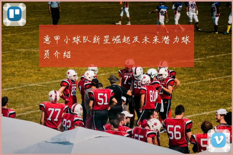 意甲小球队新星崛起及未来潜力球员介绍