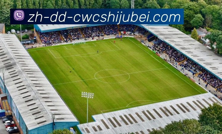 多媒体互动体验