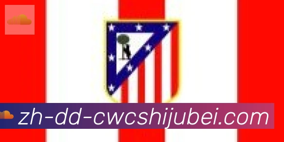 世界杯买球合作伙伴